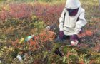 Mapping Arctic Tundra